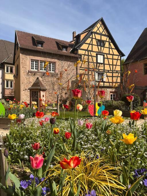 La Douce Escale Appartement Turckheim Buitenkant foto