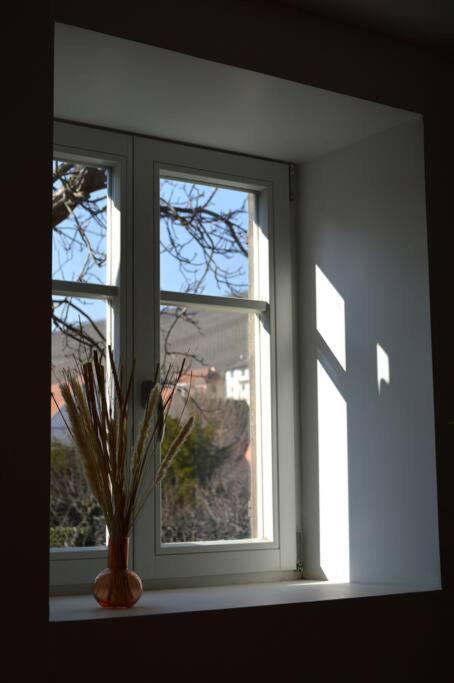 La Douce Escale Appartement Turckheim Buitenkant foto