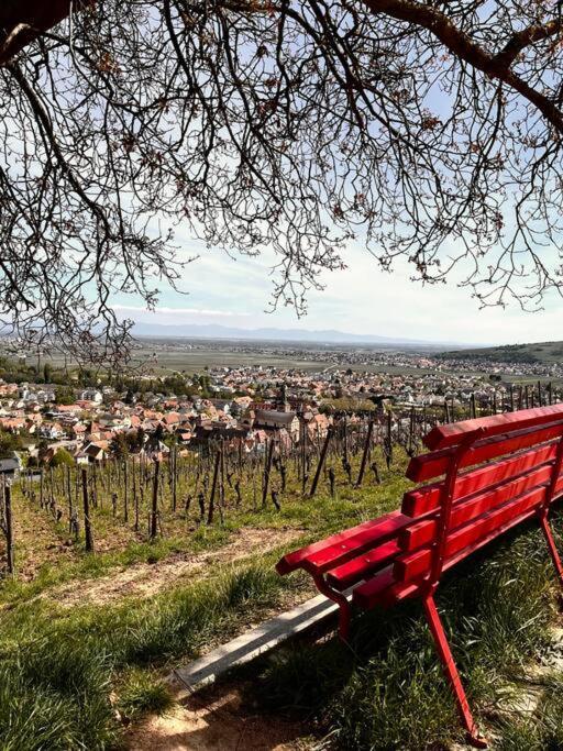 La Douce Escale Appartement Turckheim Buitenkant foto