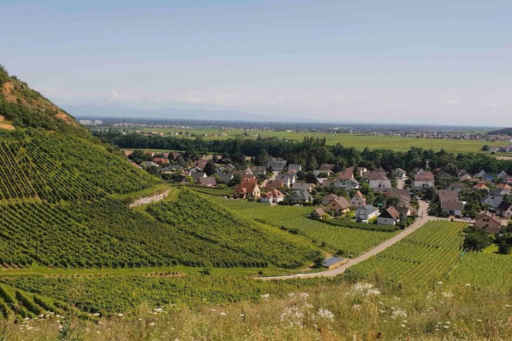 La Douce Escale Appartement Turckheim Buitenkant foto